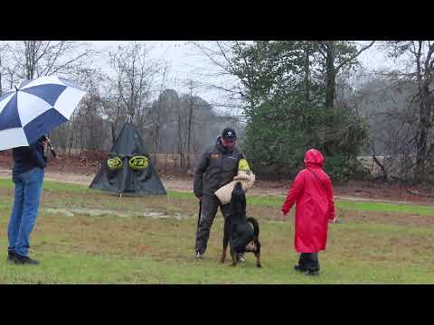 2026-Feb-27 - Maureen Grey & Linden - demo dog for RKNA Ztp