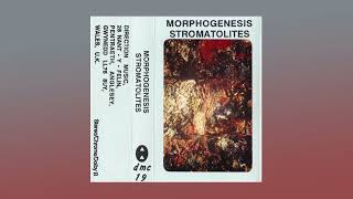 Morphogenesis - Stromatolites 1, 1998