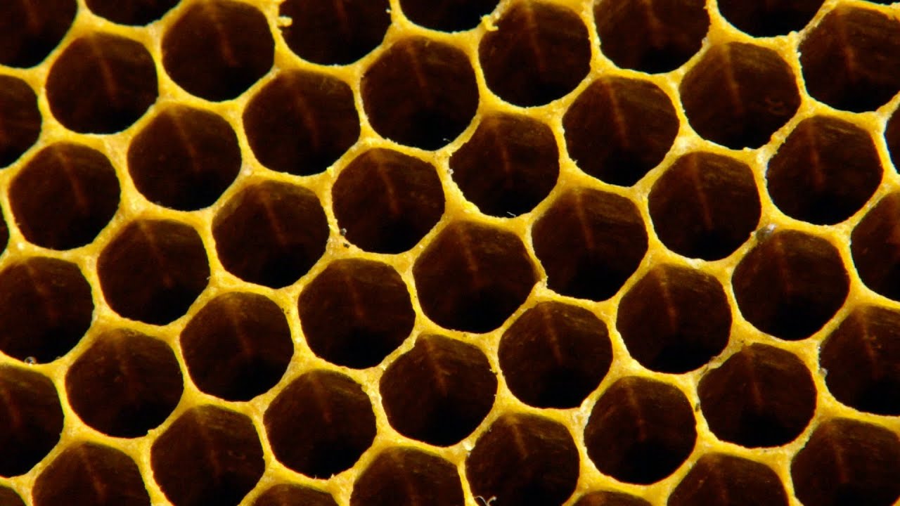 Why do bees build hexagonal honeycombs? - Forces of Nature with Brian Cox: Episode 1 - BBC One
