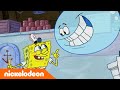 SpongeBob | Elke keer dat SpongeBob VAST komt te zitten ? | Nickelodeon Nederlands