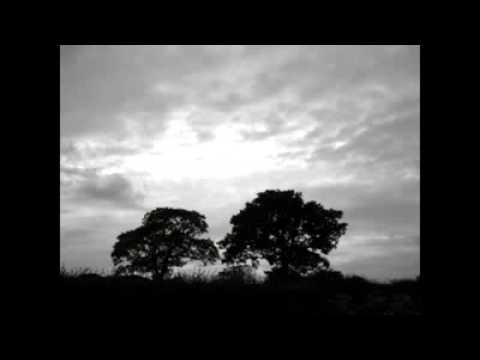 Sarsam & Mohsen Godarzi   Gole Man  HQ 2010