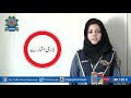 Traffic Signals Traffic K Ishary City Traffic Police Gujranwala