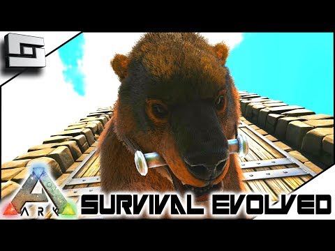 Taming A Dire Bear! ARK: Survival Evolved - E12 ( Ark Ragnarok Map )