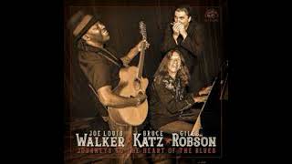 Joe Louis Walker , Bruce Katz and Giles Robsin It's Yoy Baby