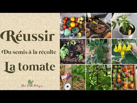 , title : 'La tomate du semis à la récolte'