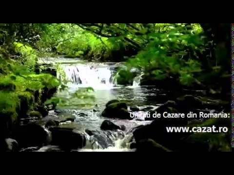 Cazare Sava, Cluj - Cazat.ro