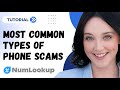 New Phone Scams to Watch Out For (2024) - Expert Guide from NumLookup