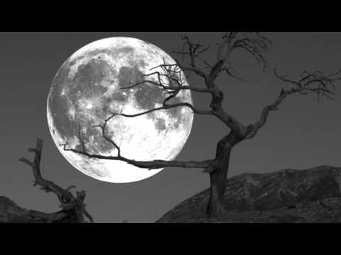 Bastian Bux - Tempus Fugit (Original Mix)