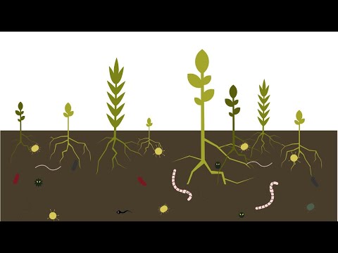 Best4Soil: Soil health – Practical Information ET