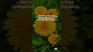 Download lagu penyejuk hati penenang jiwa@dtamunawarotulhuda6692 #shortvideo #fypシ゚viral mp3
