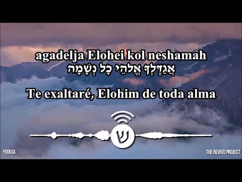 Yoduja / יוֹדוּךָ / Te alabaremos - The Revivo Project (Hebreo-Español)