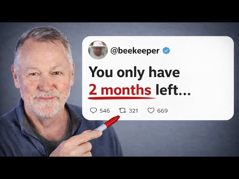 Beekeeping: How to Save Your Bees in the Next 2 Months