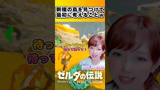 食べれる鳥？乗れる鳥？🐤 #ティアキン #ゼルダの伝説ティアーズオブザキングダム #shorts  #ゲーム実況