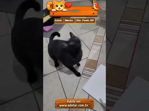 Vídeo de Pretinho