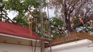 preview picture of video 'スリランカの旅 2日目 【世界遺産 アヌダーダプラ　編-11】　Sri Lanka Tour 【World heritage Sacred City of Anuradhapura -11】'