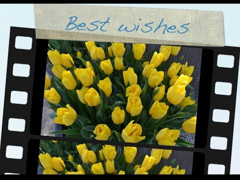 Rasika Comments and Best Wishes - Part - 1