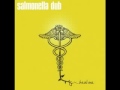 Salmonella Dub - Seeds - South of Critinden