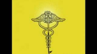 Salmonella Dub - Seeds - South of Critinden