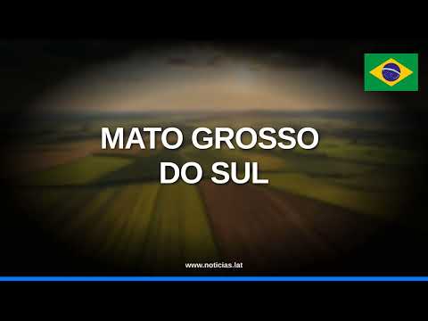 Mato Grosso do Sul lidera crescimento econômico puxado pelo agronegócio // Noticias.lat