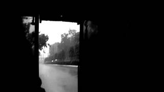 Paralies: Deluge and Delusion