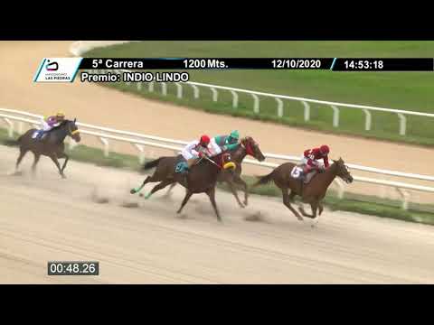 201012 c05 - LA CARRIO 1° - HIPODROMO LAS PIEDRAS