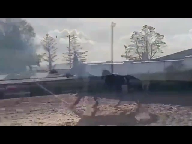 Super Gelding for Sale