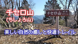 【春登山】チセロ山 (京都花背20260321)