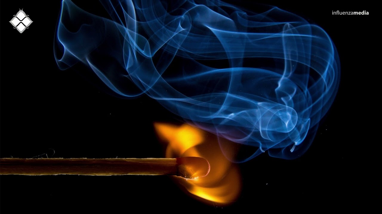 Weynorx - Academic Town