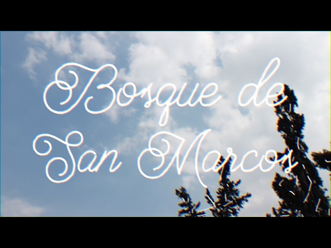 Video thumbnail for Bosque de San Marcos