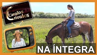 Miniatura do vídeo