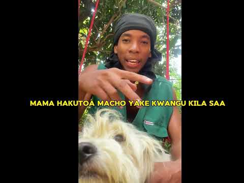 Rapcha - Walinikataa (Rise Snippet Lyrics)