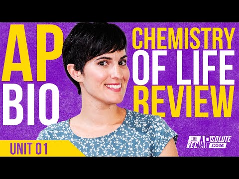 AP Bio Unit 1 Chemistry of Life Review - 2025 UPDATE!