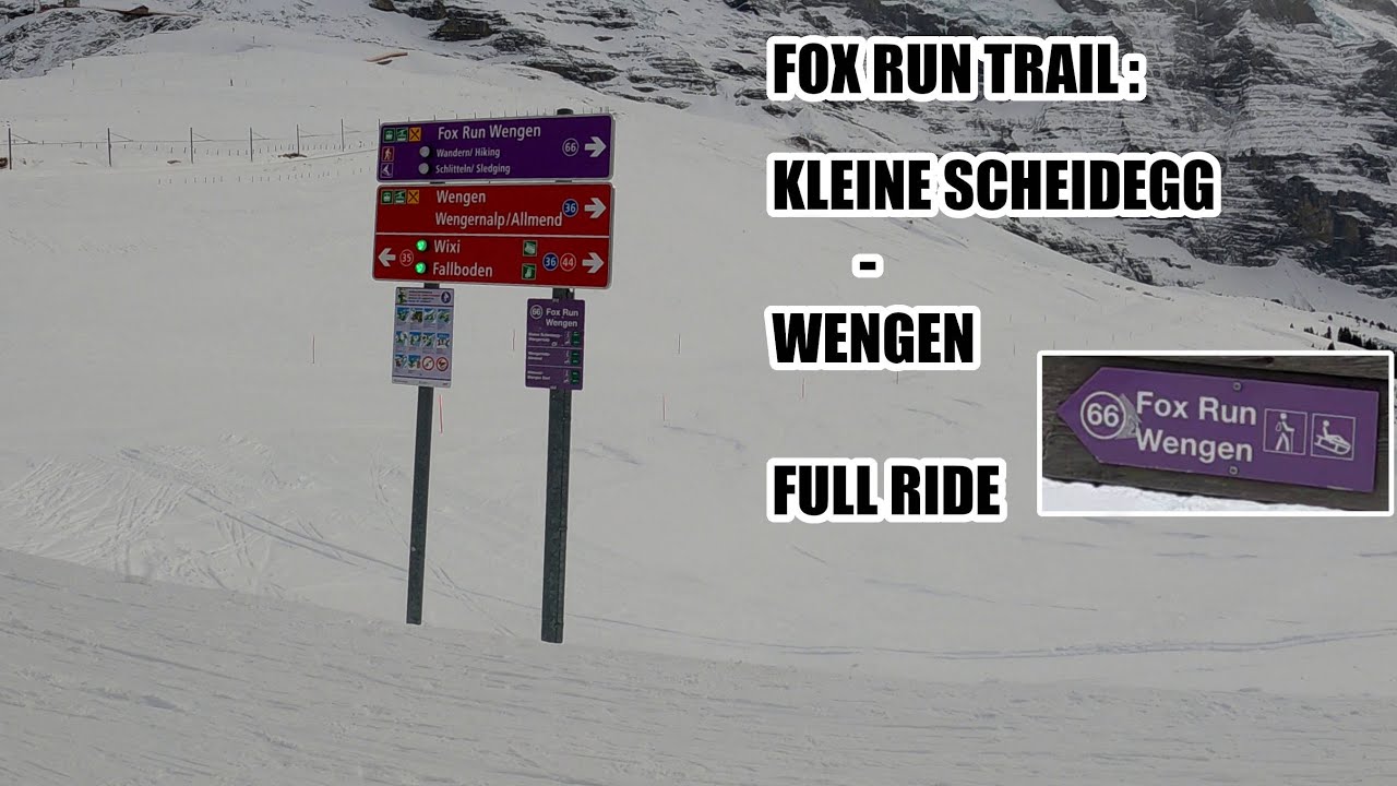 Embark on an enthralling virtual Fox Run descent.