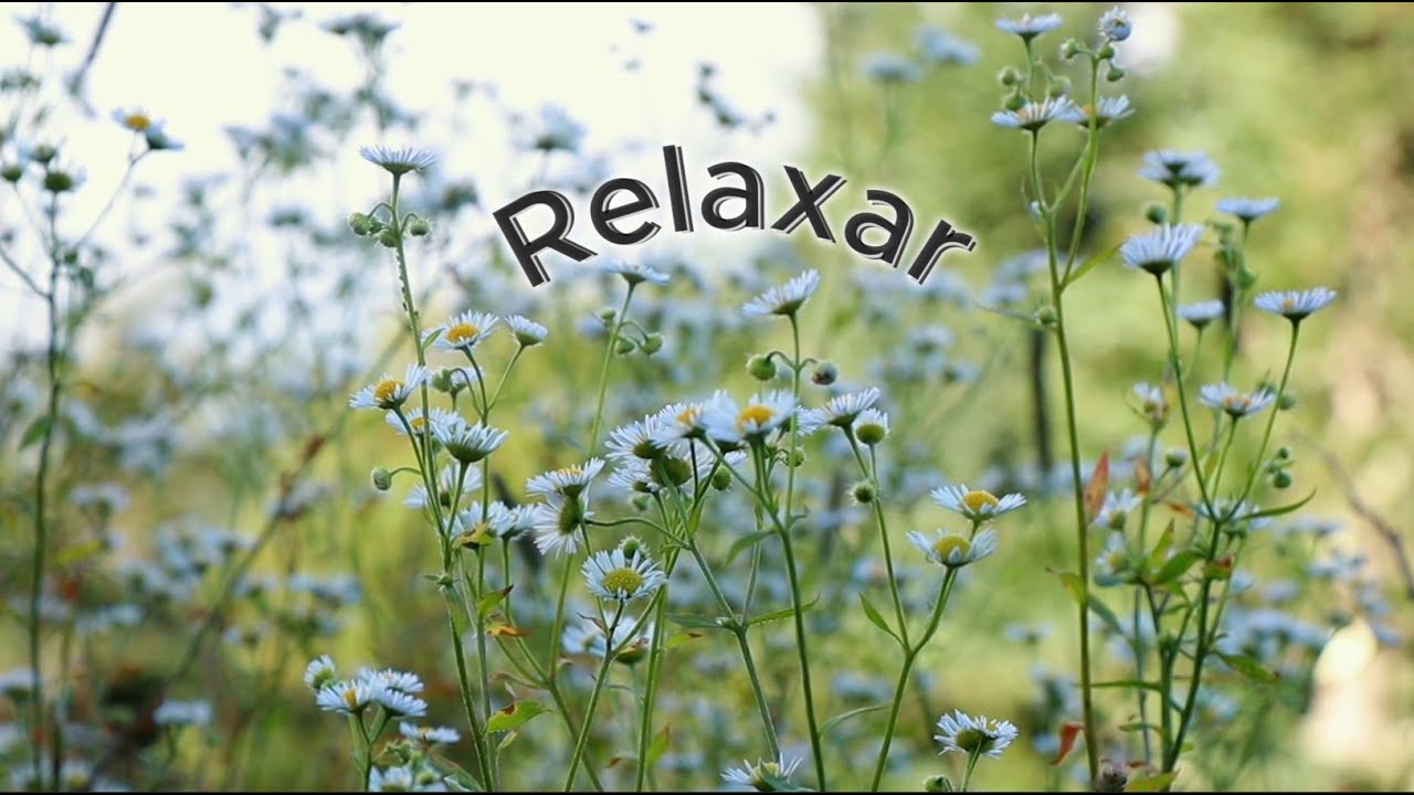 Musica pra relaxar e acalmar