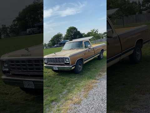 1985 Dodge D150 Prospector - She clean! #dodgetruck #mopar