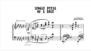 Single petal of a rose, Marcus Roberts,