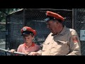 Zebra In The Kitchen - Trailer