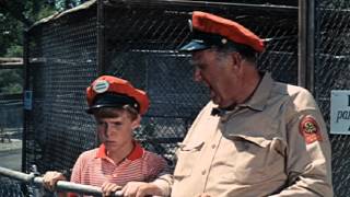 Zebra In The Kitchen - Trailer