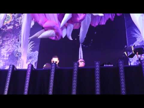 Music is my drug @ Defqon1 2014 [Da Tweekaz ft Anklebreaker]