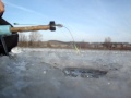 Зимняя рыбалка, ловля окуней.wmv 
