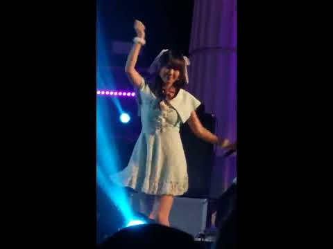 [Fancam] Dear Daisy Daisy - ตึกตัก @ Cat Expo 6