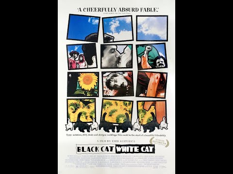 😻24週年經典重現《黑貓白貓：4K數位修復版》| 8/12人間喜劇