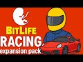Bitlife Racing Expansion Is AMAZING