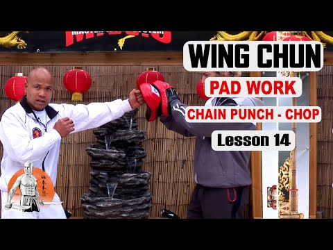 Basic Wing Chun Lesson  basic Chain punch and chop lesson 14 | Master Wong