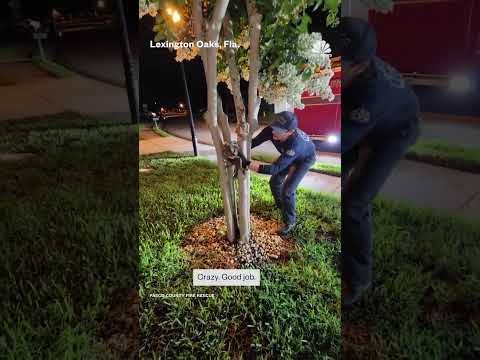 Florida firefighter saves an owl stuck at the base of a tree.