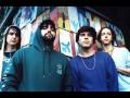 Animal Collective   Daily Routine