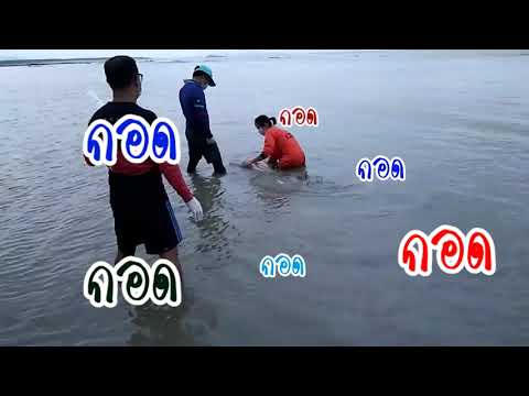 คลิกเพื่อดูคลิปวิดีโอ