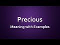 Precious Meaning with Examples