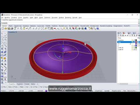 Timelapse Rhinoceros - Le Curve NURBS