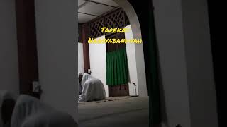 Download lagu Lihat Murid Tarekat Naqsyabandiyah Ketika Bertemu Gurunya mp3 Download lagu Lihat Murid Tarekat Naqsyabandiyah Ketika Bertemu Gurunya mp3
